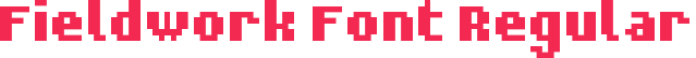 Fieldwork Font Regular